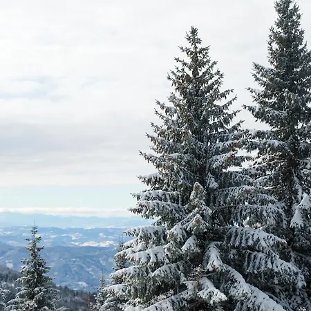 Vila Golija Peak Suites Kopaonik Exterior foto