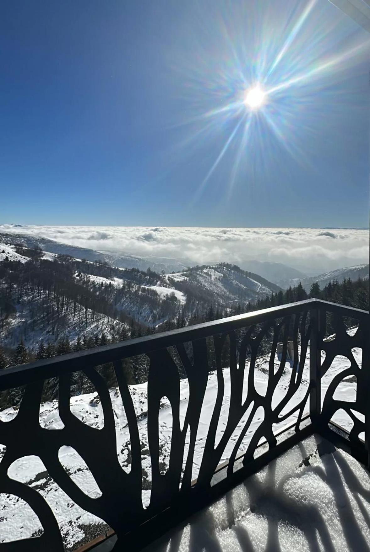 Golija Peak Apartment *