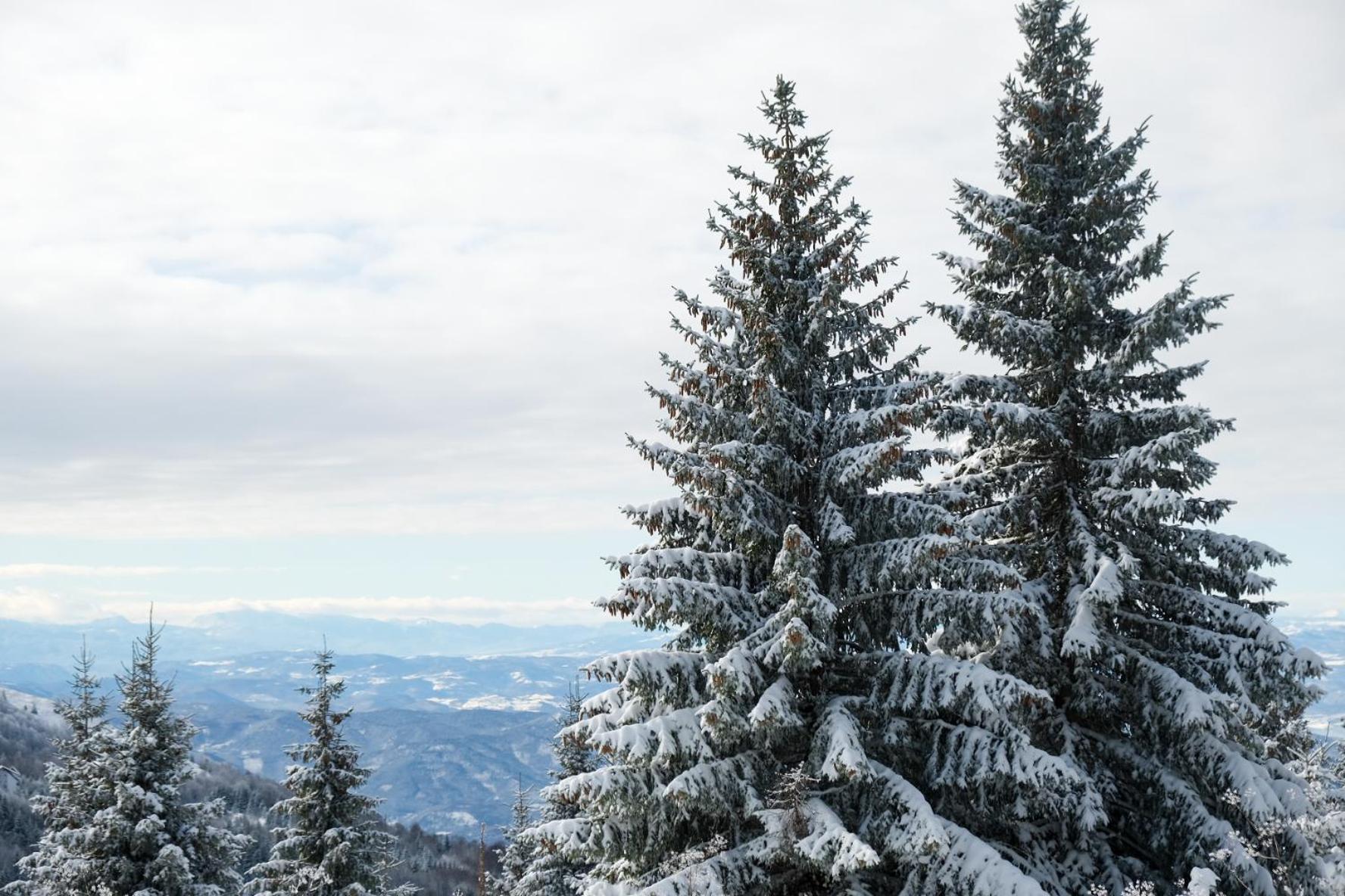 Golija Peak Apartment Kopaonik
