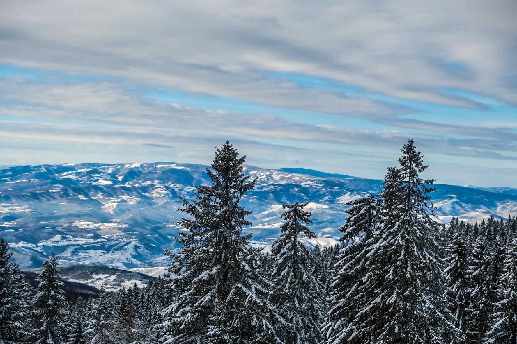 Apartment Golija Peak Kopaonik